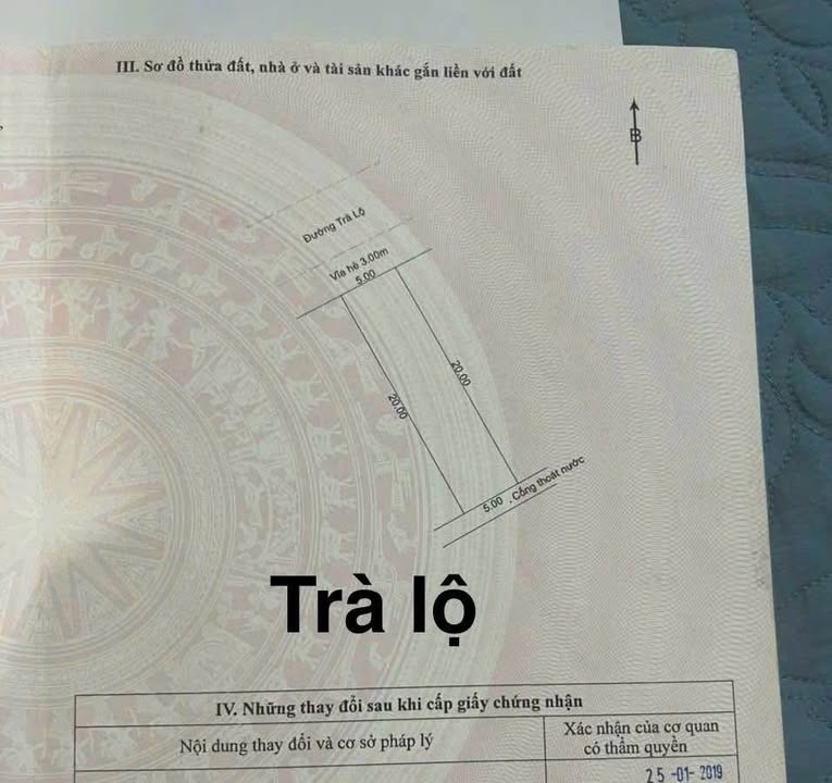 Đất nền đường Trà Lộ, phường Hòa Hải, Đà Nẵng 100m² giá 4.2 tỷ - Cơ hội đầu tư hấp dẫn!