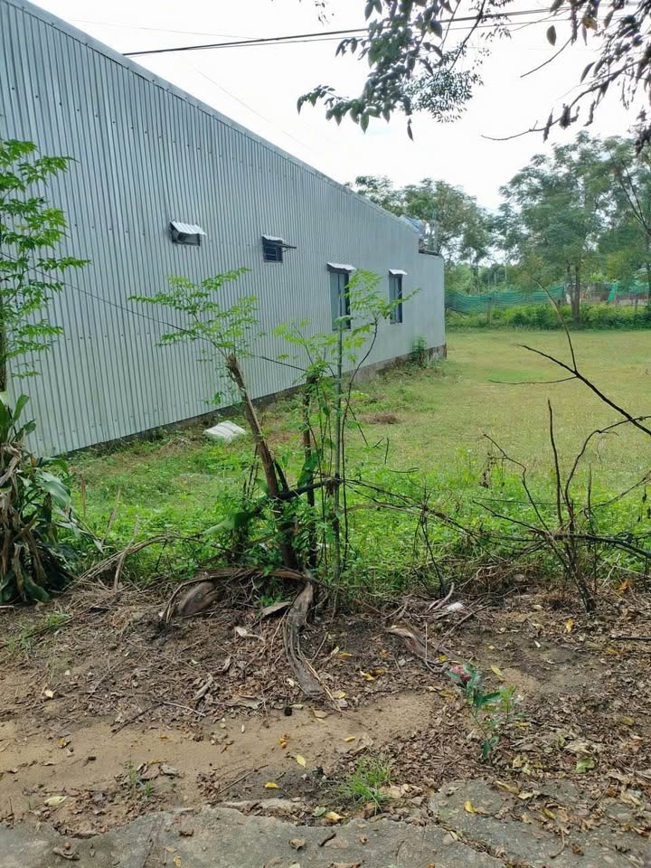 Đất nền Điện Hòa, Điện Bàn 90m² giá 800 triệu - Đường ô tô thông thoáng!