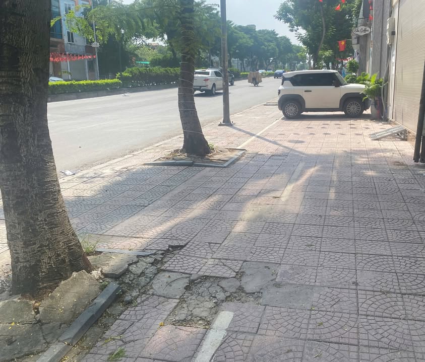 Mặt bằng cho thuê mặt phố Nguyễn Văn Cừ 50m² giá 12 triệu - Vị trí đắc địa, kinh doanh thuận lợi!