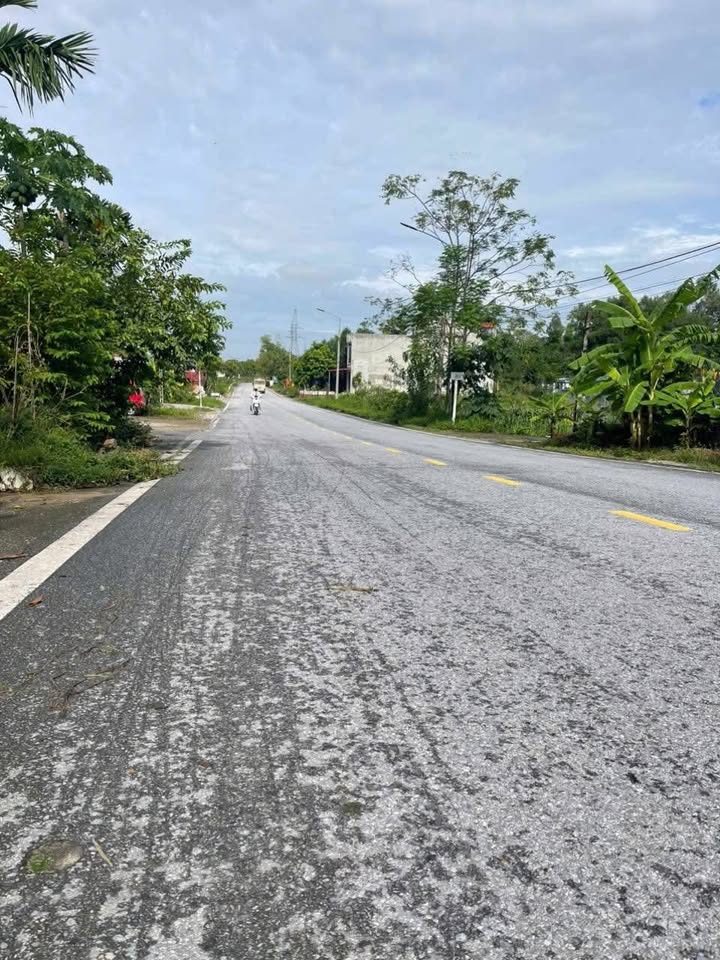 Lô đất mặt đường TL288, Thị trấn Thắng, Hiệp Hòa 100m² giá 1.6 tỷ - Cơ hội đầu tư hấp dẫn!