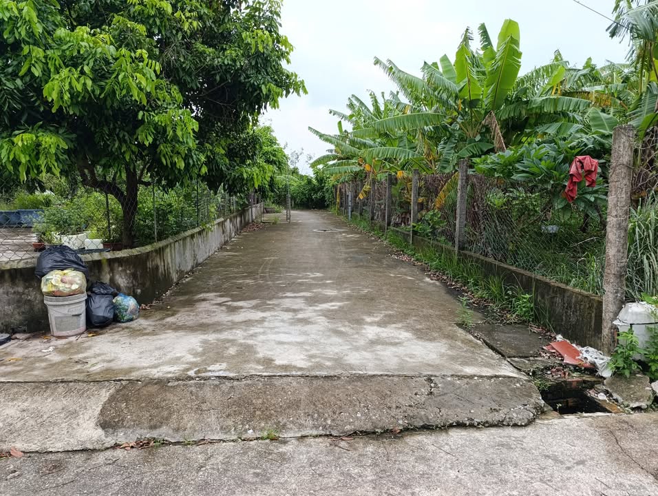 Bán gấp 4 lô đất thổ cư tại Thôn Trung Linh, Xuân Trường - Giá chỉ 810 triệu/lô!