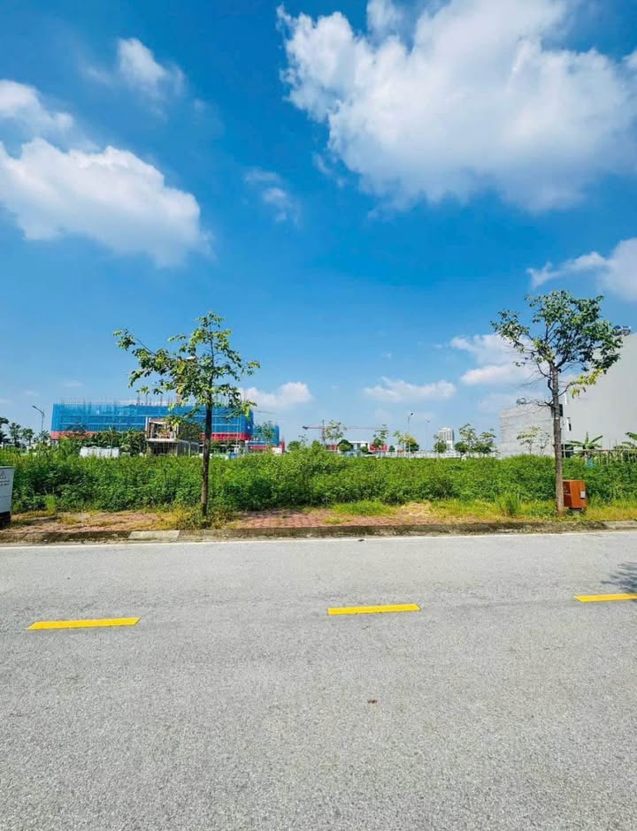 Đất nền LK35.45 Khu đô thị Tân Phú Hưng 67.5m² giá 3 tỷ - Đầu tư sinh lời ngay!