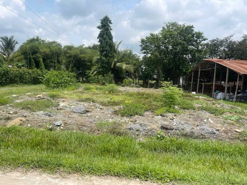 Đất nền xã Trung Lập Thượng, Củ Chi 322m² giá 1.5 tỷ - Vị trí đắc địa, pháp lý rõ ràng!