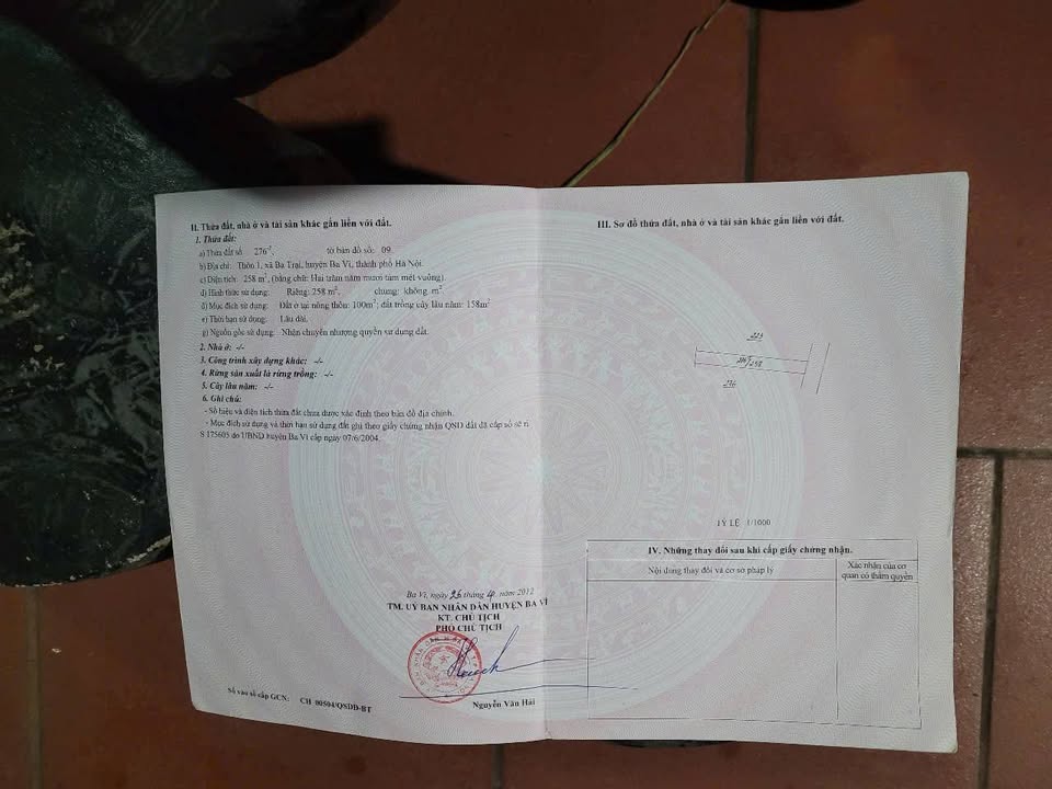 Đất mặt đường ĐH 28 Ba Vì 253m² giá chỉ 1.8 tỷ - Kinh doanh thuận lợi!