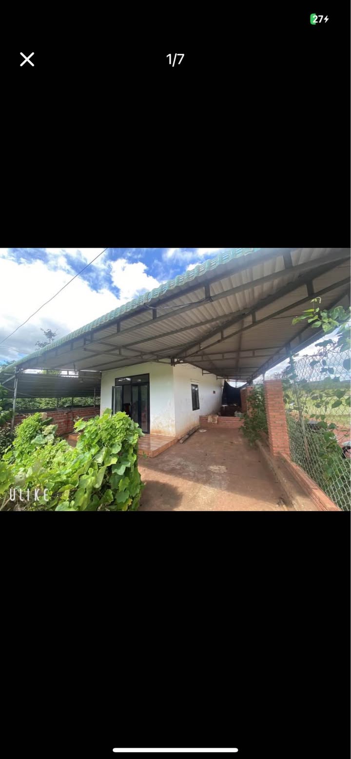 Farm Đắk Nông 6600m² giá thỏa thuận - Đất vườn đẹp, gần chợ