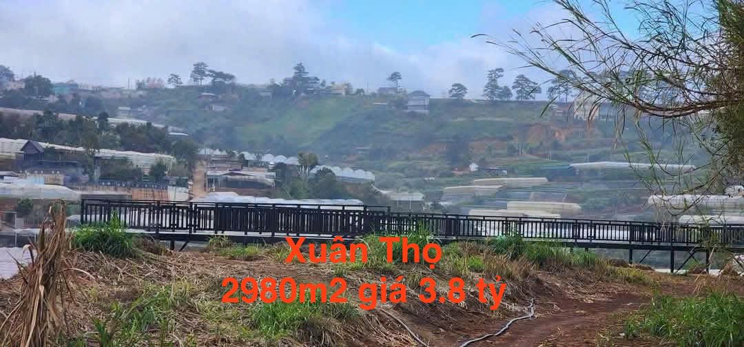 Đất nền Xuân Thọ, Đà Lạt 2980m² giá 3.8 tỷ - Tiềm năng đầu tư lớn!