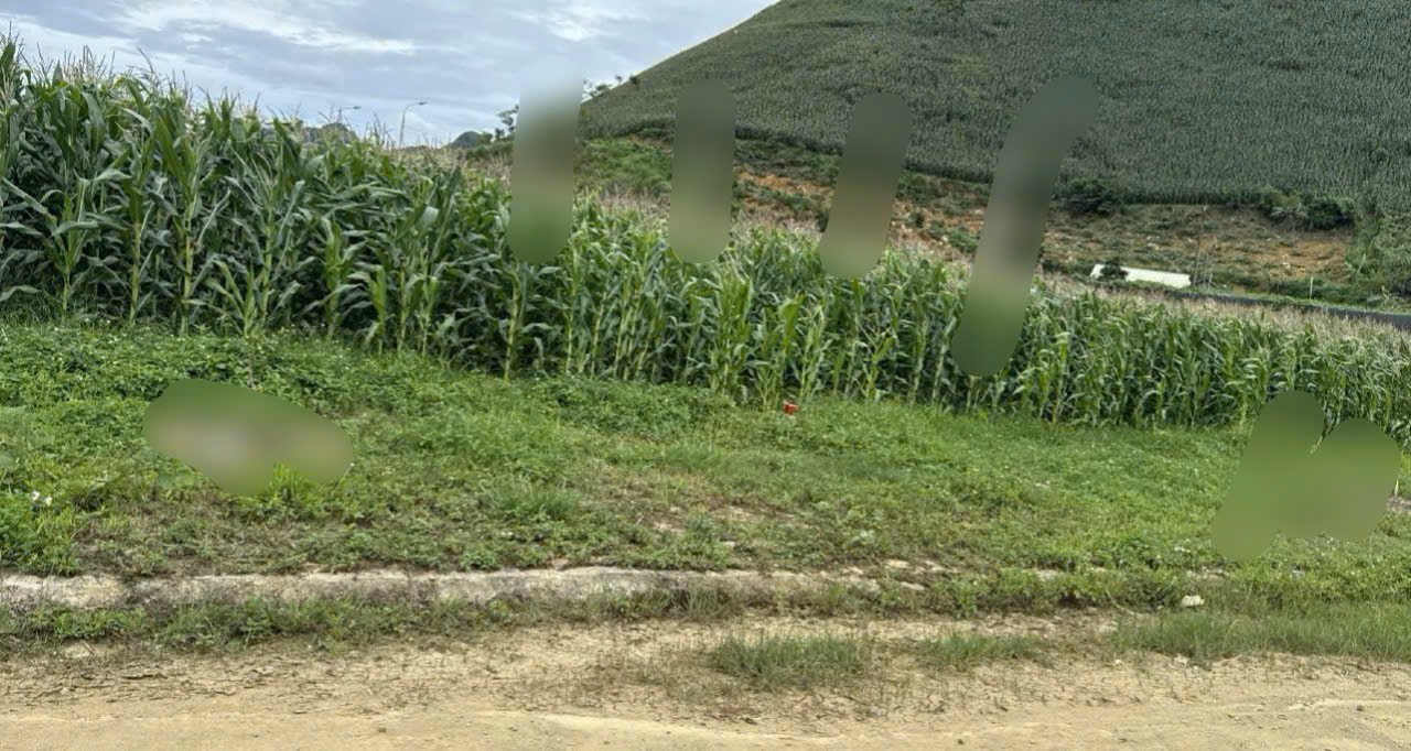 Đất nền đẹp tại Vân Sơn, Mộc Châu 352m² - Cơ hội đầu tư tuyệt vời!