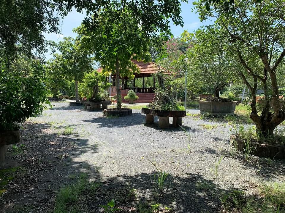 Mặt bằng cho thuê tại Quốc lộ 60, Bến Tre 6000m² - Tiềm năng phát triển kinh doanh lớn!