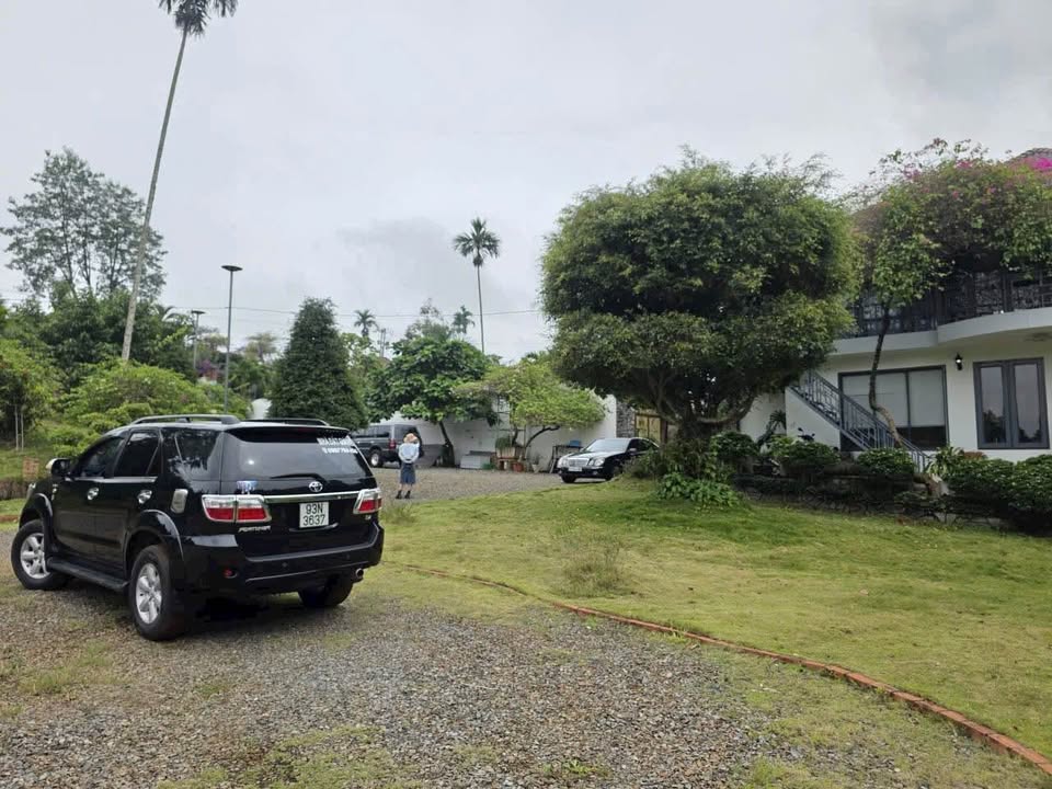 Đất Farm 1.9ha mặt tiền Quốc lộ 20 Lộc Nga - Giá chỉ 5 triệu/m²