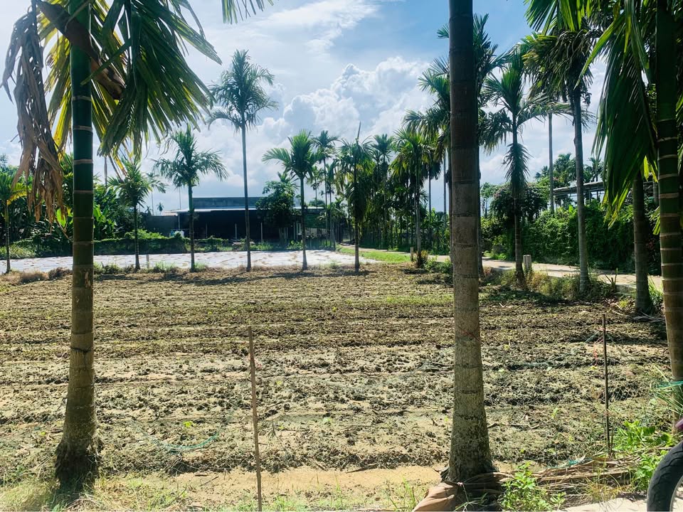 Đất nền Nghĩa Thương, Tư Nghĩa 100m² giá 360 triệu - Cơ hội đầu tư hấp dẫn!