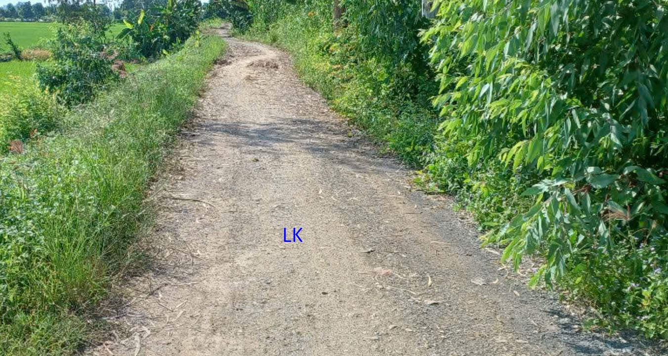 Đất nông nghiệp 3.000m² tại Tân Hội Trung, Cao Lãnh chỉ 750 triệu - Cơ hội đầu tư hấp dẫn!