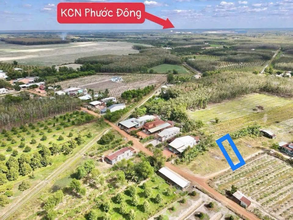 Đất nền Ấp 6, Bàu Đồn, Gò Dầu 110m² giá chỉ 395 triệu - Đầu tư sinh lời ngay!