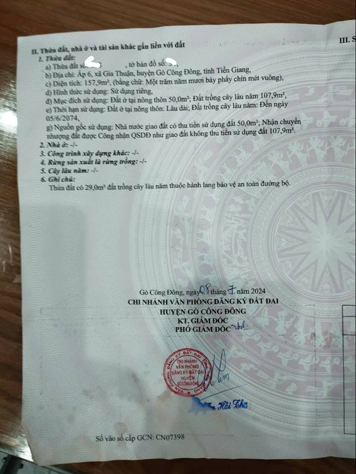 Đất nền mặt tiền đường nhựa Gia Thuận 156m² giá 500 triệu - Tiềm năng sinh lời cao!