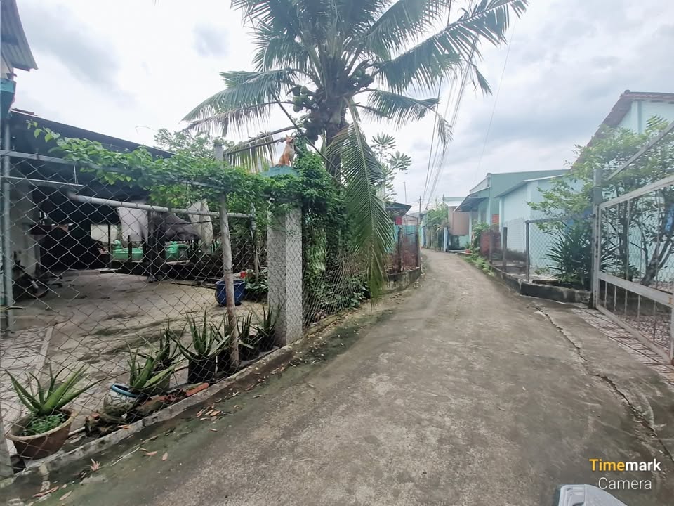 Đất liền kề 81m² tại Phước Thiền, Nhơn Trạch - Sổ đỏ chính chủ, giá chỉ 1.5 tỷ!