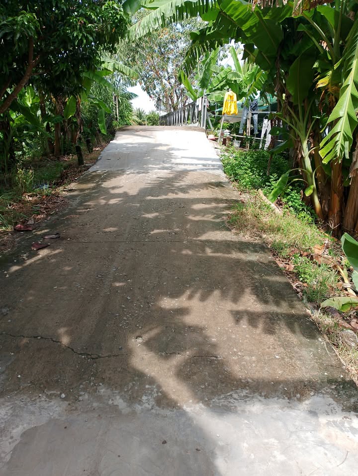 Đất nền Vĩnh Thông Rạch Giá 500m² - Thích hợp xây nhà vườn ngay!