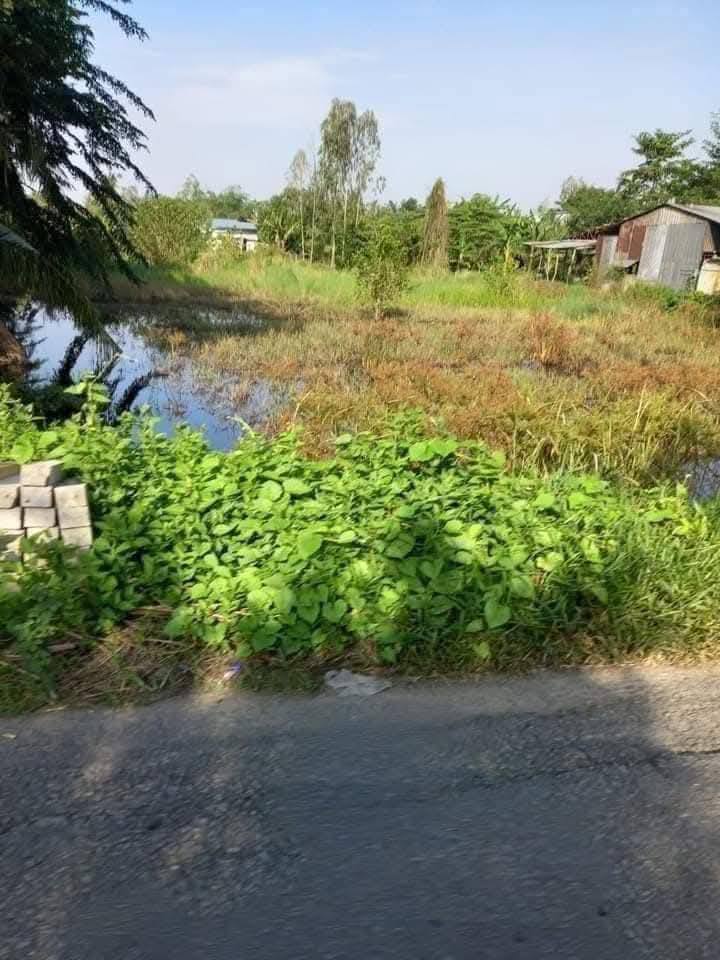 Đất nền mặt tiền đường Nguyễn Trọng Quyền, phường Trung Kiên, 1995m² - Cơ hội đầu tư tuyệt vời!