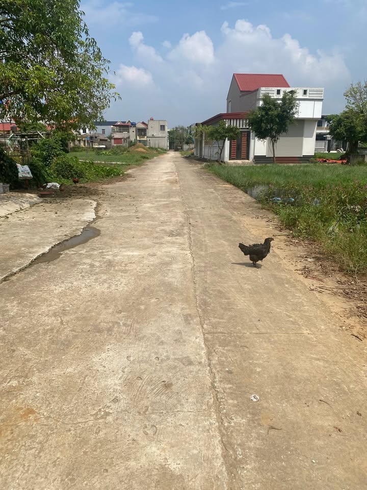 Đất thổ cư 174m² tại Thôn Ninh Phú, xã Đa Lộc - Hướng Đông, giá thỏa thuận