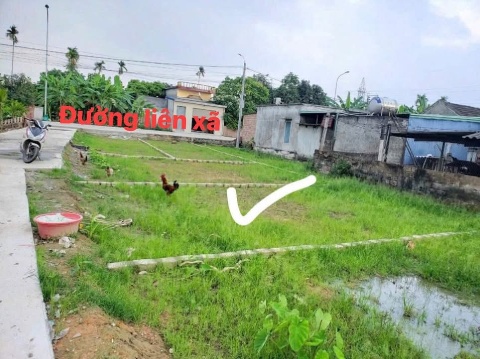 Đất nền xã Cao Nhân 60m² giá thỏa thuận - Cách mặt đường chỉ vài bước chân!