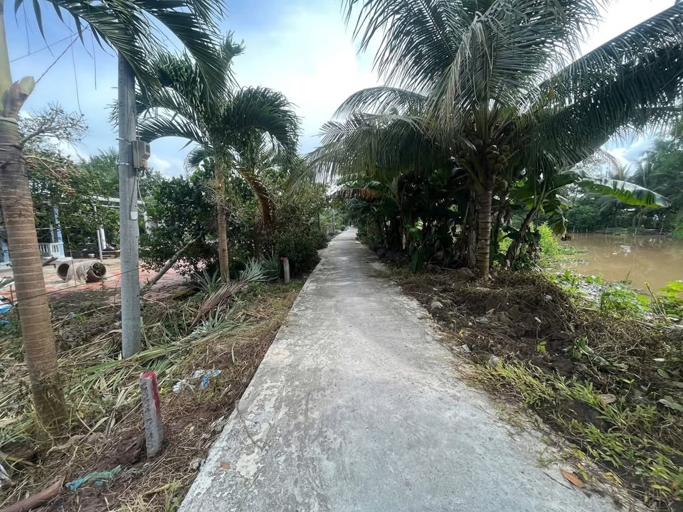 Đất nền thổ cư tại xã Mỹ Thuận, Vĩnh Long - Giá chỉ từ 250 triệu!