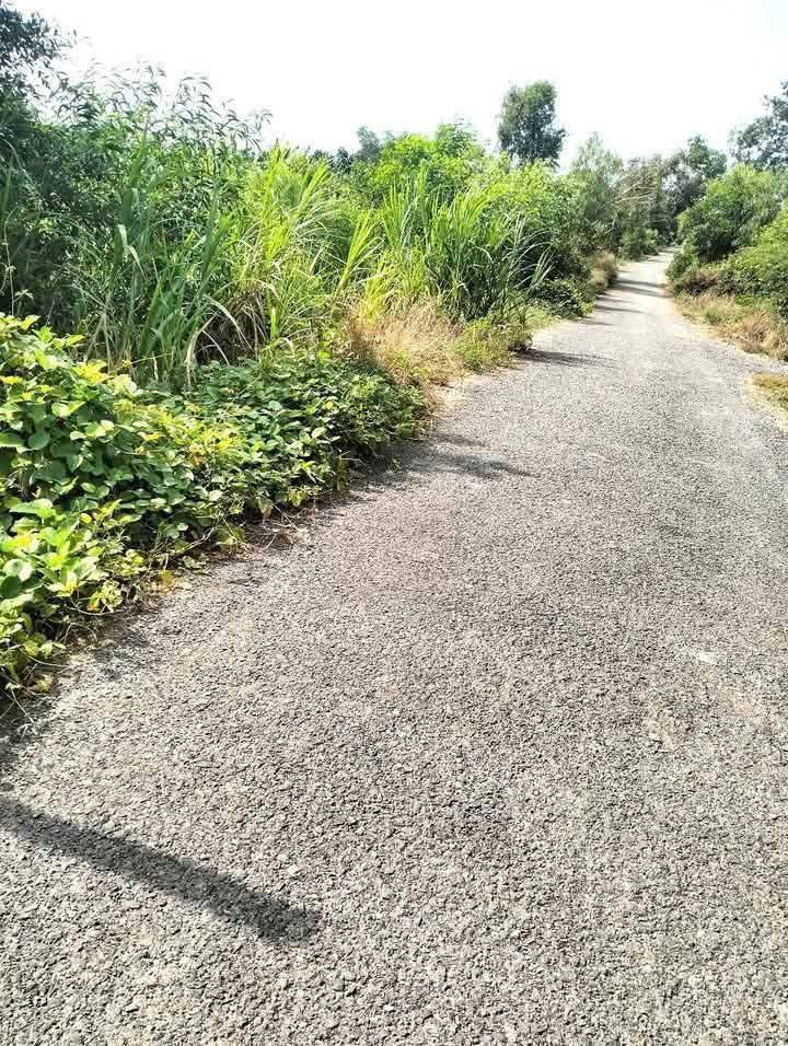 Đất ruộng 10 công tại Tân Hòa Tây, Tân Phước - Mặt tiền 30m đường nhựa, giá 2.3 tỷ