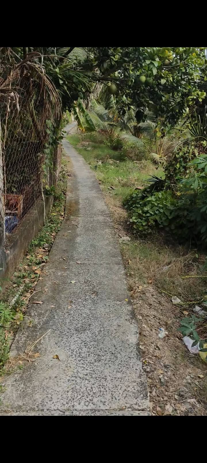 Đất nông nghiệp 2400m² tại Chợ Gạo, Tiền Giang chỉ 1.4 tỷ - Sổ đỏ chính chủ!