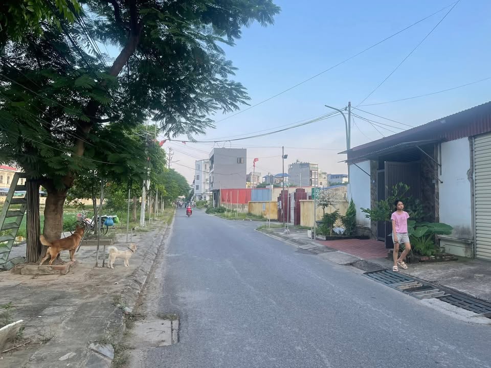 Nhà 3 tầng mặt đường Bạch Mai, An Hải 63m² giá 2 tỷ - Cơ hội đầu tư hấp dẫn!