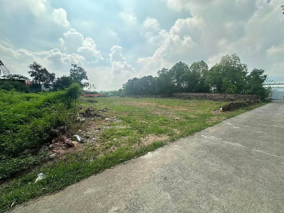 Đất nền Nhuận Trạch, Lương Sơn 4390m² giá chỉ 5 triệu/m² - Sổ đỏ chính chủ!