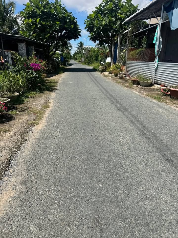 Đất nền Hòa Nghĩa, Chợ Lách 344m² giá 1.377 tỷ - Vị trí đẹp, thổ cư sẵn!