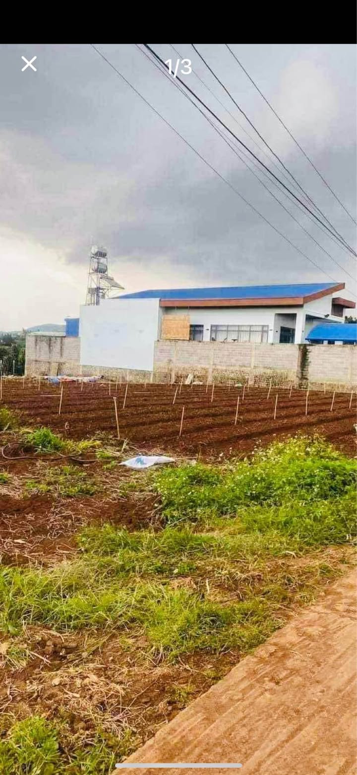 Đất nền Liên Hiệp - Đức Trọng 450m² giá 2.95 tỷ - Vị trí đẹp, giao thông thuận lợi!