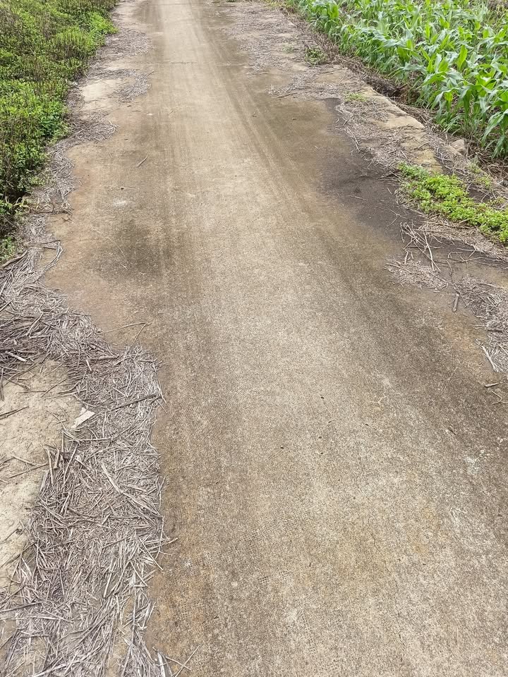 Đất nền khu dân cư Đinh Văn Lâm Hà 3600m² giá 750 triệu - Sổ đỏ chính chủ sẵn sàng công chứng!