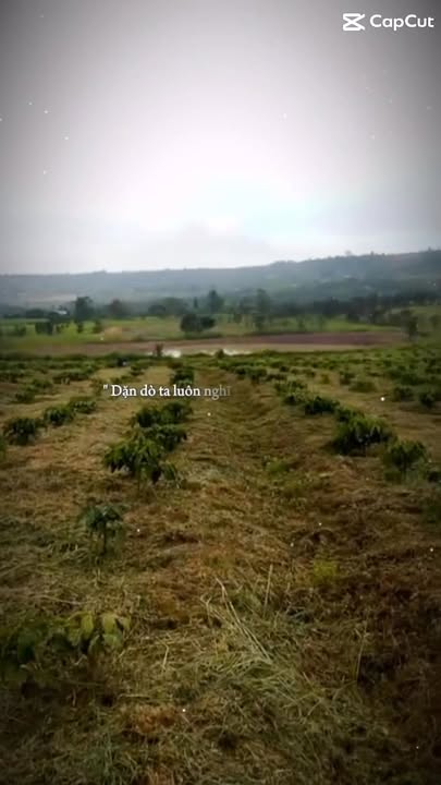 Đất nền Đan Phượng 28.000m² giá 6,44 tỷ - Cơ hội đầu tư hấp dẫn!