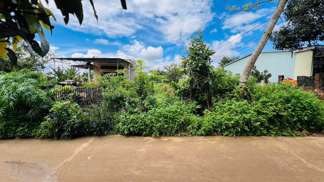 Đất hẻm 66 Lý Chính Thắng, Pleiku 153m² giá 980 triệu - Vị trí dân cư sầm uất!