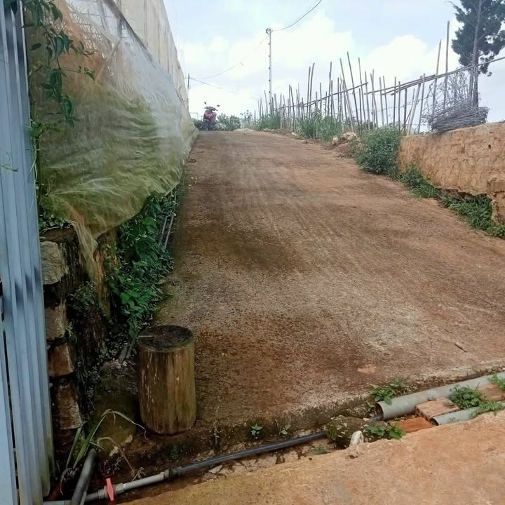 Đất nghỉ dưỡng 1000m² tại phường Cam Ly - Đà Lạt giá 4 tỷ - Cơ hội đầu tư tuyệt vời!