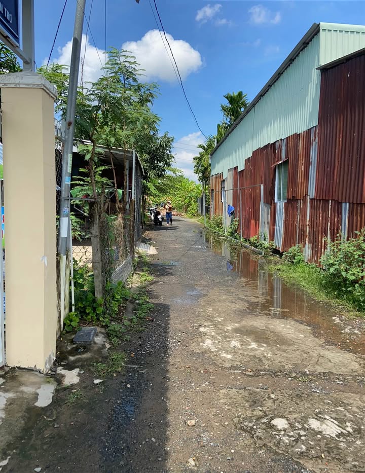 Đất vườn An Bình, Cần Thơ 288m² giá 2.5 tỷ - Đầu tư sinh lời ngay!