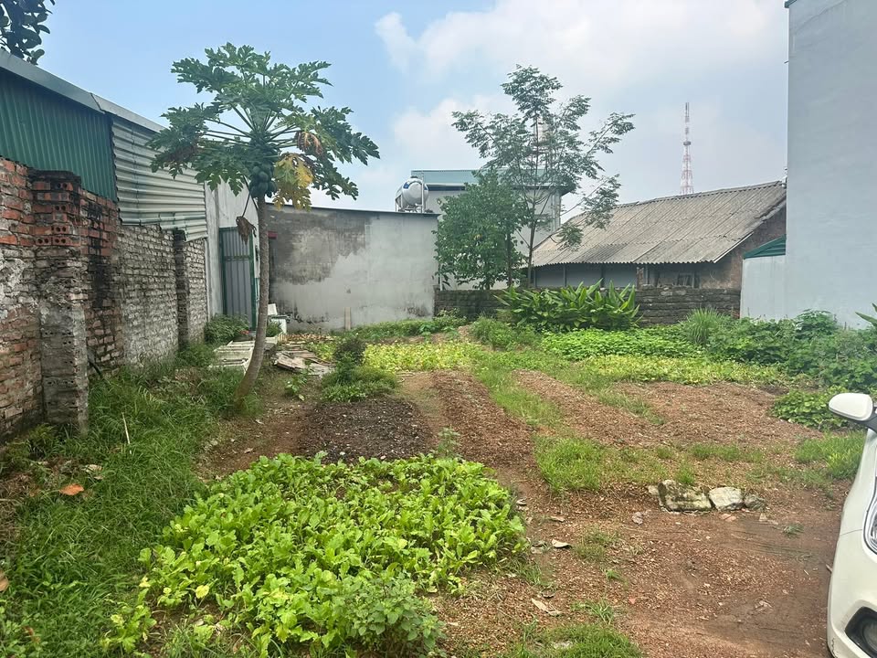 Đất nền bán gấp tại Phường Việt Trì 83m² - Gần KĐT Việt Sét, giá thỏa thuận!