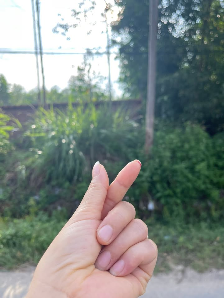 Đất kinh doanh sầm uất tại Sơn Động, Bắc Giang, 83m² - Vị trí đắc địa cho đầu tư!