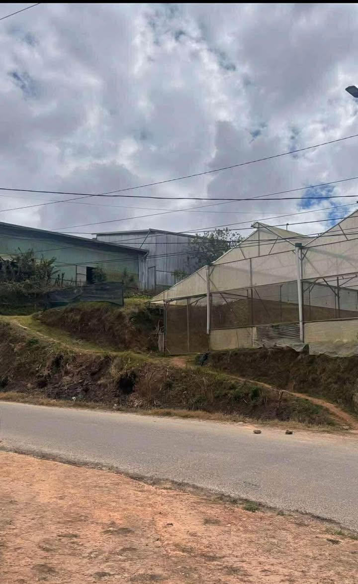 Đất nông nghiệp mặt tiền Nguyễn Hoàng, Đà Lạt 200m² giá 2 tỷ - Khu an ninh yên tĩnh!