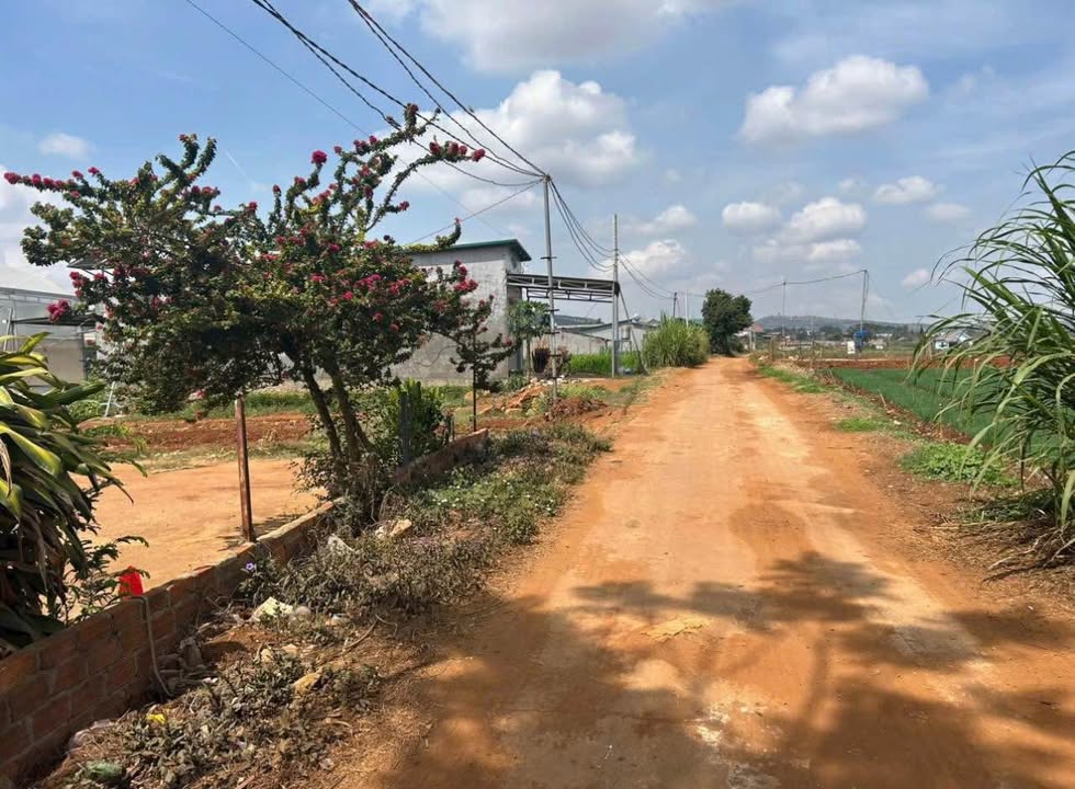 Nhà bán trung tâm xã Tu Tra, Đơn Dương, Lâm Đồng - 369m² chỉ 980 triệu