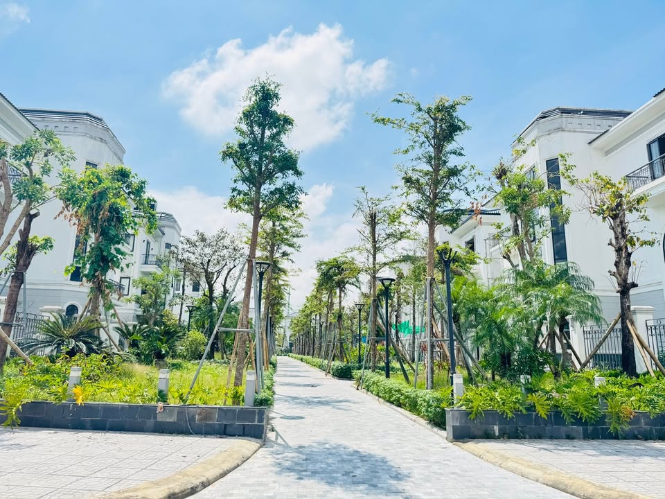 Biệt thự đơn lập Vinh Heritage 340m² giá 12.5 tỷ - Vị trí đắc địa như biệt thự đảo!
