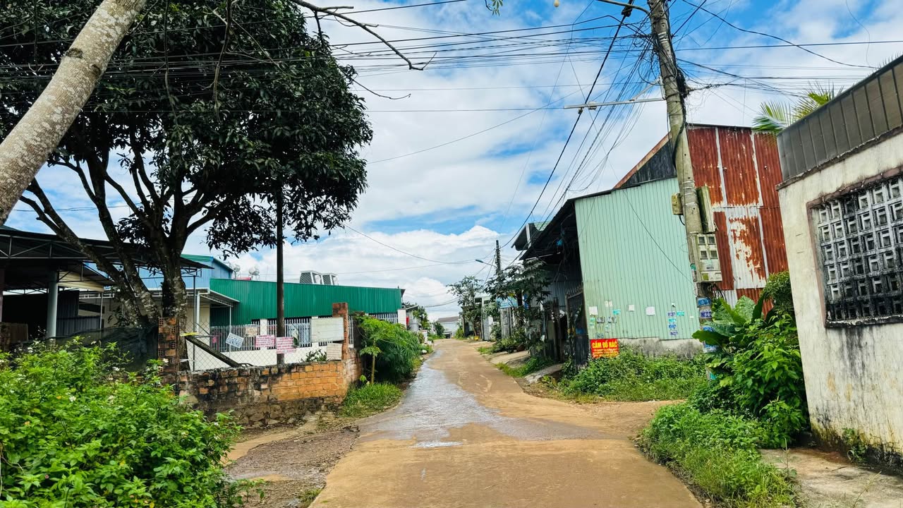 Đất nền chính chủ Lý Chính Thắng, Hội Phú 154.24m² giá chỉ 900 triệu - Hướng Đông, giao thông thuận lợi!