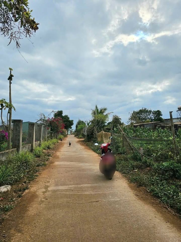 Đất thổ cư 50m² hẻm chính Tú Xương - Gía chỉ 500 triệu - Đầu tư sinh lời!