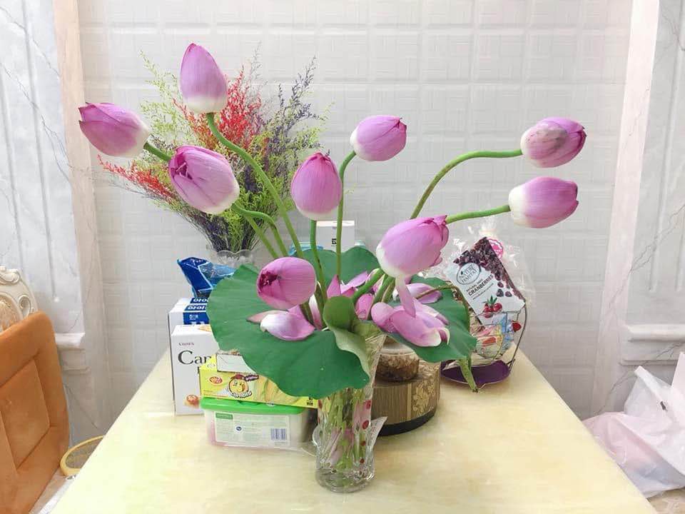 Nhà phố bán gấp đường Phạm Cát Lượng, Sơn Trà, 124m² - Giá 40 tỷ chính chủ!