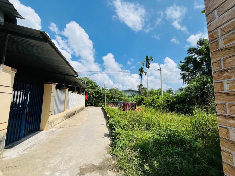 Đất hẻm Nguyễn Thông, Quảng Ngãi 70m² giá 695 triệu - Cơ hội đầu tư tuyệt vời!