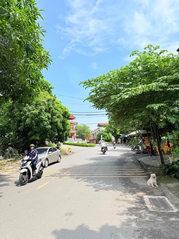 Đất vàng 150m² Đàm Văn Tiết, Nam Sơn, Bắc Ninh - Cơ hội đầu tư không thể bỏ qua!