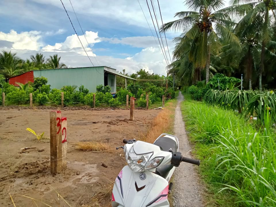 Đất nền 159.5m² tại ấp Tân Phú 1 - Giá chỉ 320 triệu - Đầu tư sinh lời nhanh!