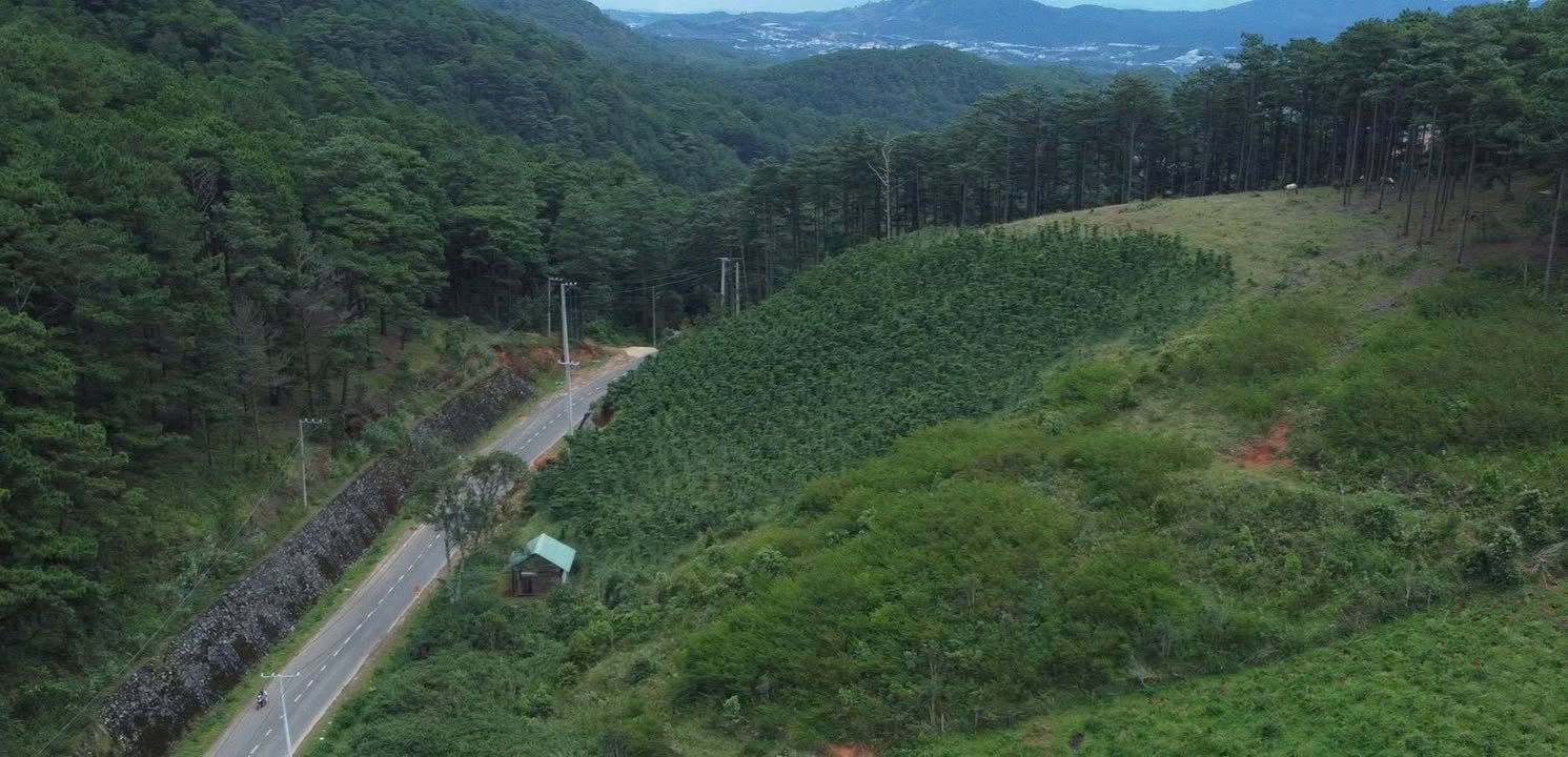 Bán đất VIP 4700m² mặt tiền đường Bi Đoúp, Đà Lạt giá 10,5 tỷ - Kết nối tiện ích hoàn hảo!