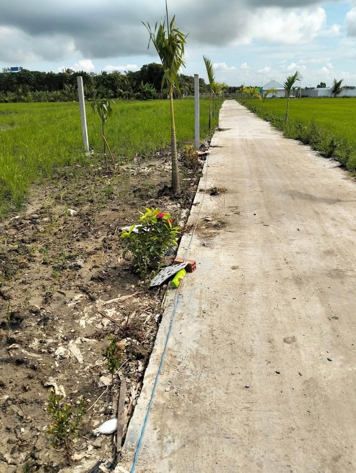 Đất vườn nghỉ dưỡng 1000m² đường Huỳnh Văn Thụ, Châu Đốc - Giá 600 triệu, đầu tư sinh lời!