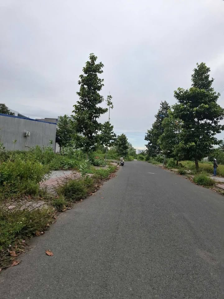 Đất nền Long Hòa B, Đạo Thạnh, 160m² giá 4 tỷ - Kinh doanh thuận lợi!