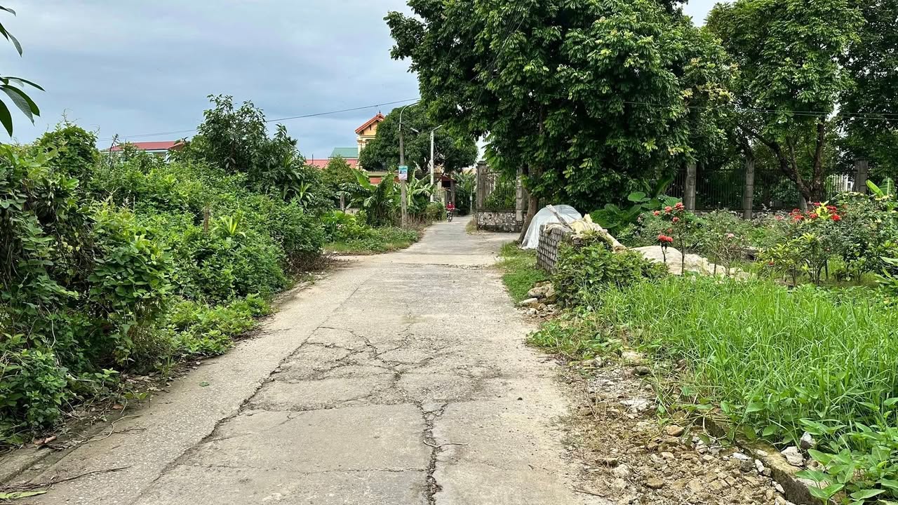 Đất liền kề tại Ninh Phúc, Hoa Lư - 45m² giá 1.1 tỷ - Cơ hội đầu tư hấp dẫn!