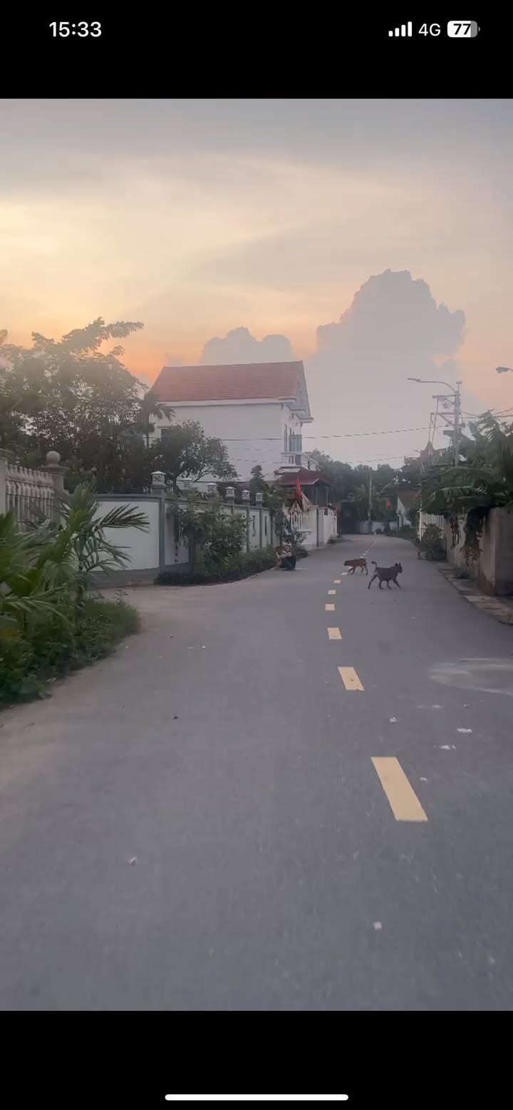 Đất thổ cư 139m² tại Lỗ Hà, Duy Tiên - Giá chỉ 2 tỷ, đầu tư sinh lời ngay!